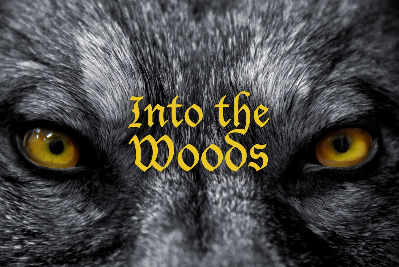 Featured image for post: Theatre at Barton Opens the 2018-19 Season with Sondheim’s “Into the Woods” November 8-11