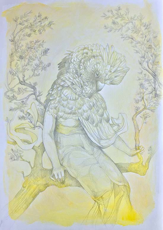 Featured image for post: Silverpoint Works Will Be The Focus Of The Barton Art Galleries’ Upcoming Exhibition