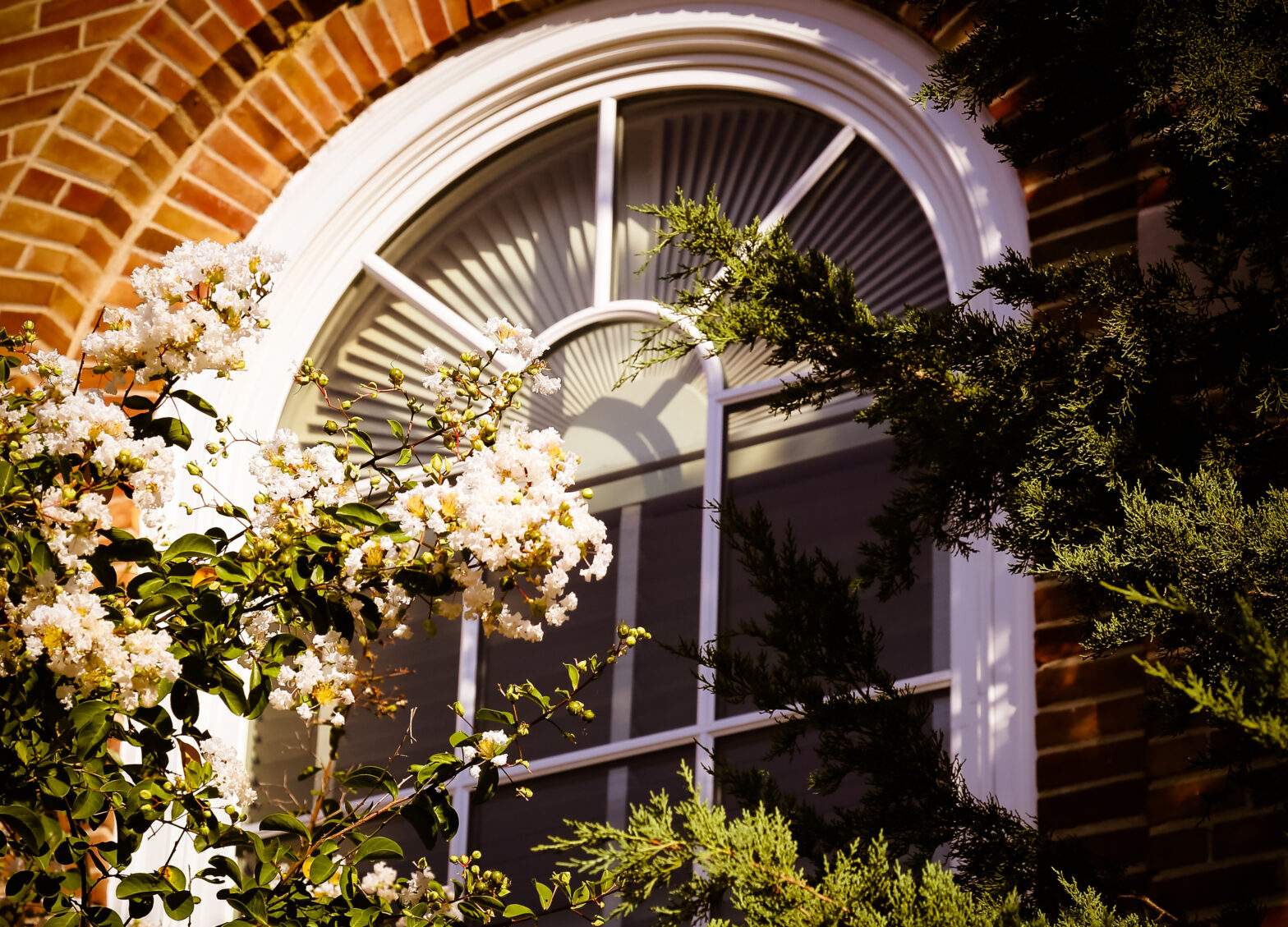 Featured image for post: Spring 2026 Homegrown Writers Series Highlights Barton College Student Authors